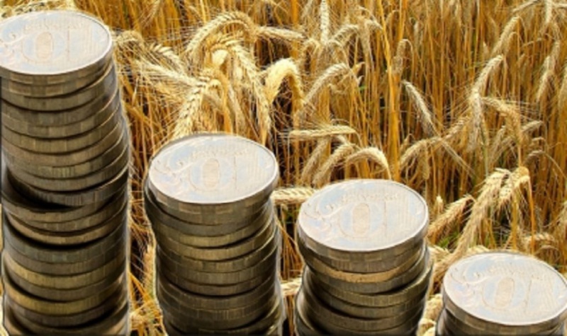 Оренбургские сельхозтоваропроизводители получают выплаты господдержки